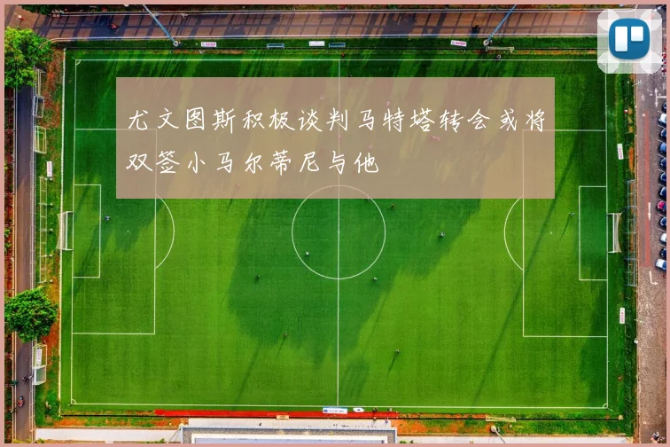 尤文图斯积极谈判马特塔转会或将双签小马尔蒂尼与他